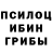 Псилоцибиновые грибы Cubensis Mimika777