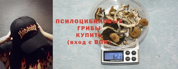 спайс Арсеньев