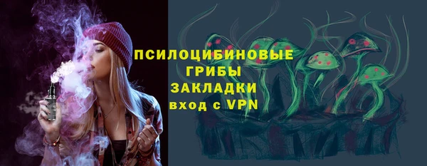 гашик Аркадак