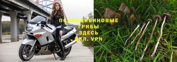 гашик Аркадак