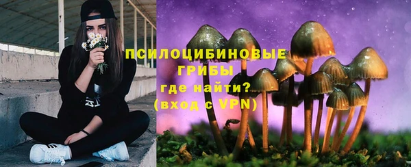 круглые Армянск