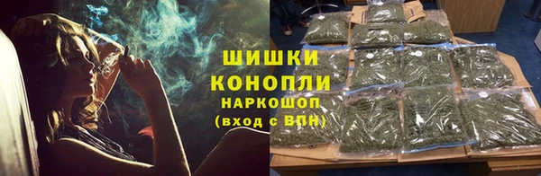 спайс Арсеньев
