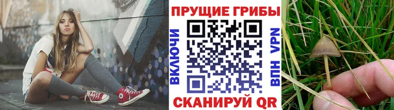 Галлюциногенные грибы мухоморы  Белая Холуница 
